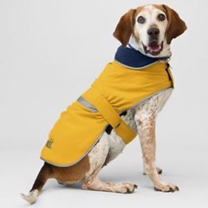 lands end dog squall jacket